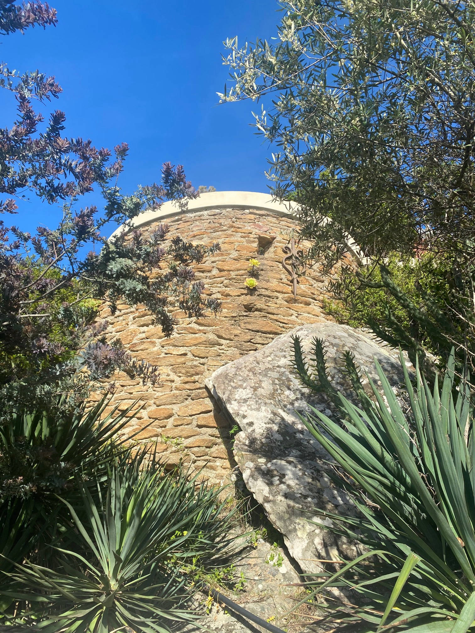 le rouquier du levant