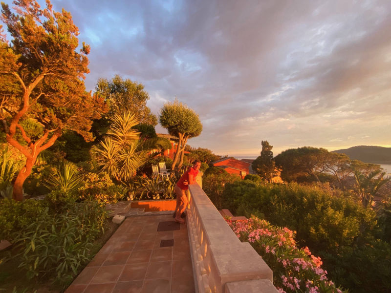 le rouquier du levant