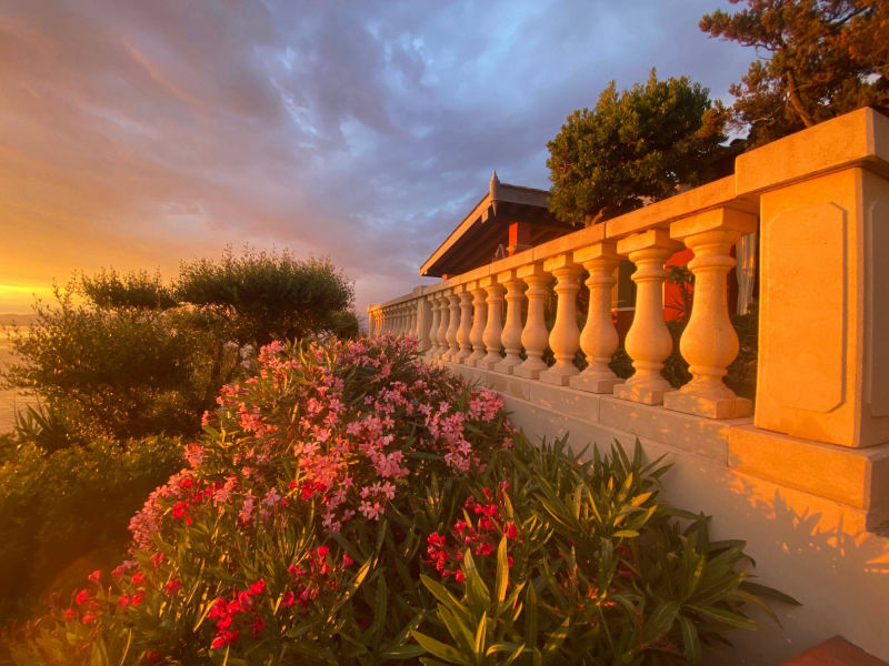 le rouquier du levant