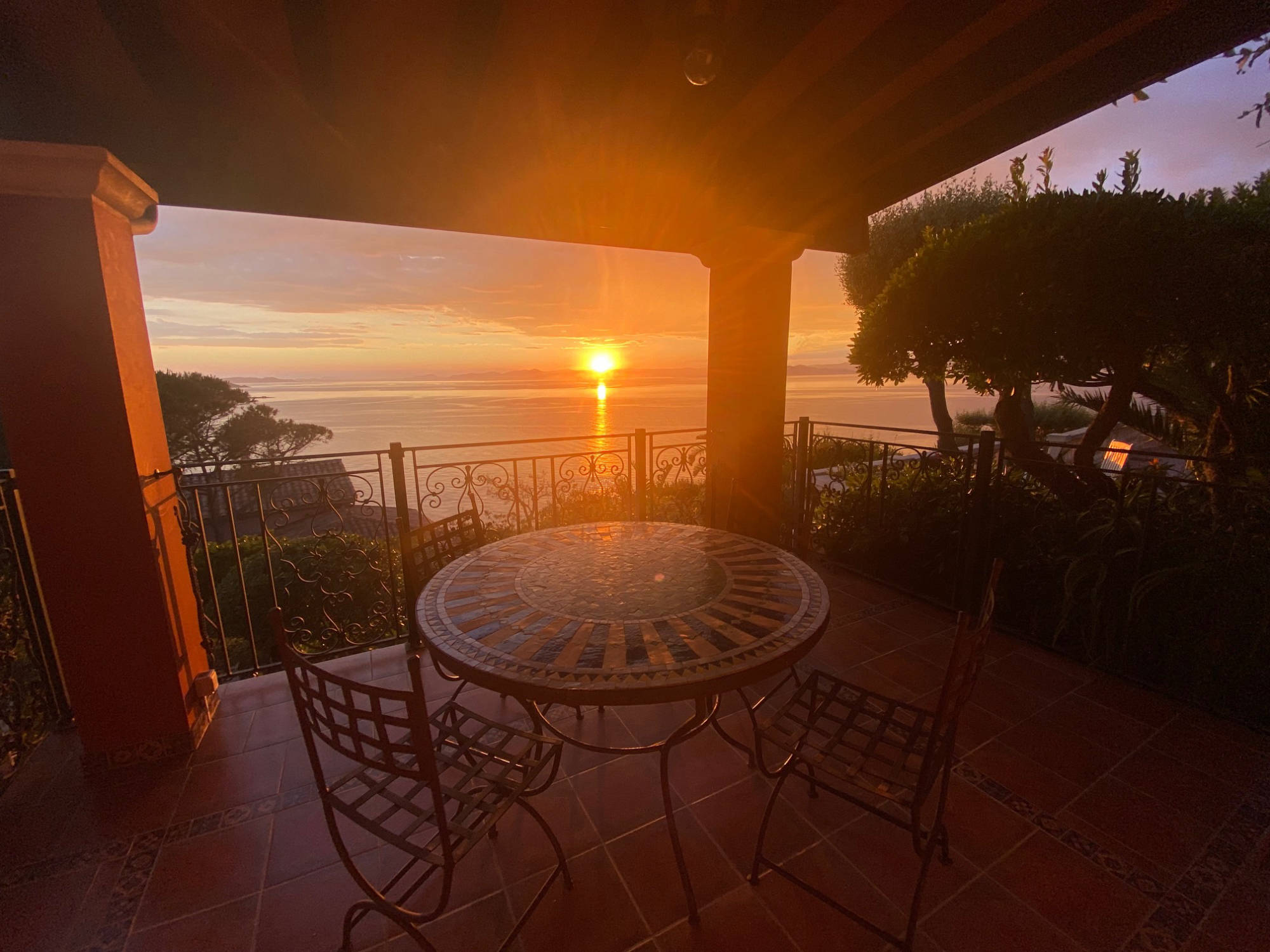 le rouquier du levant