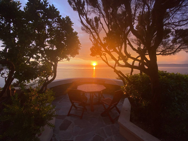 le rouquier du levant