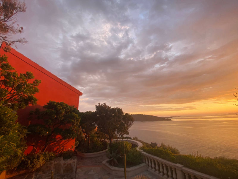 le rouquier du levant