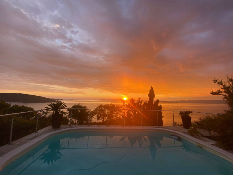 le rouquier du levant