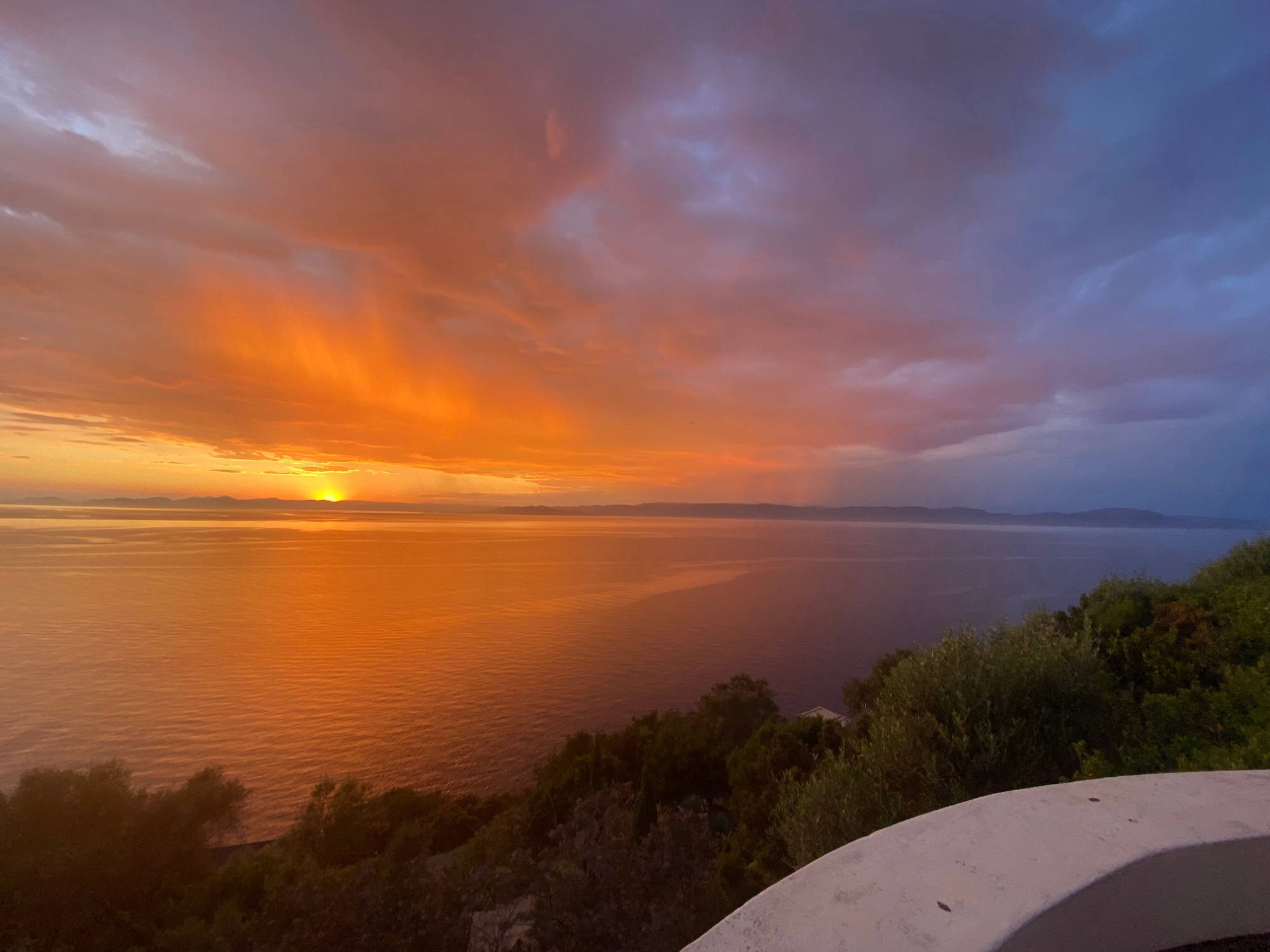 le rouquier du levant