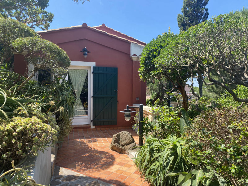 le rouquier du levant