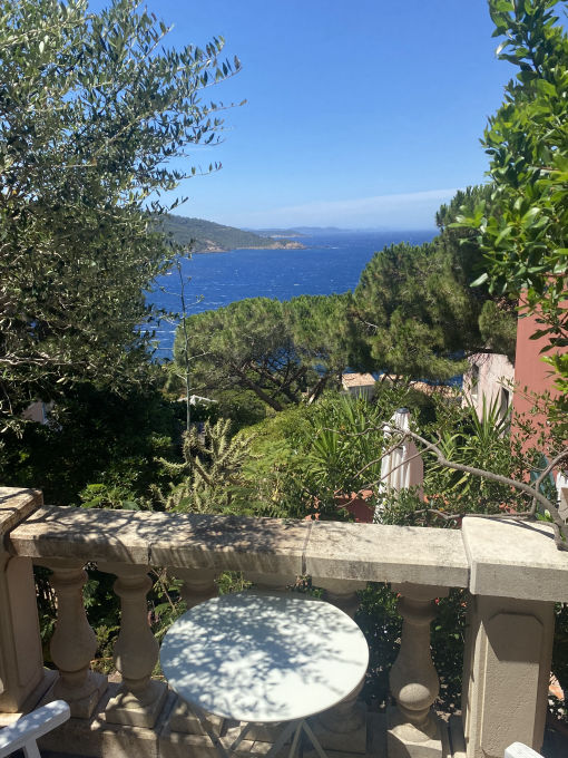 le rouquier du levant