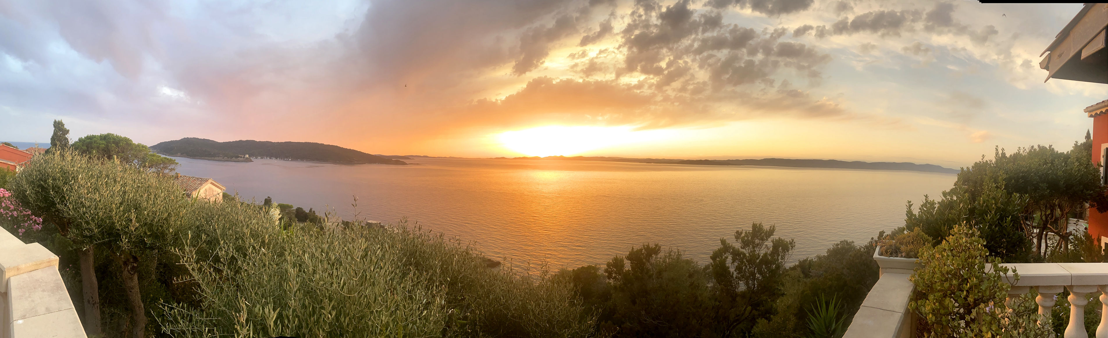 le rouquier du levant