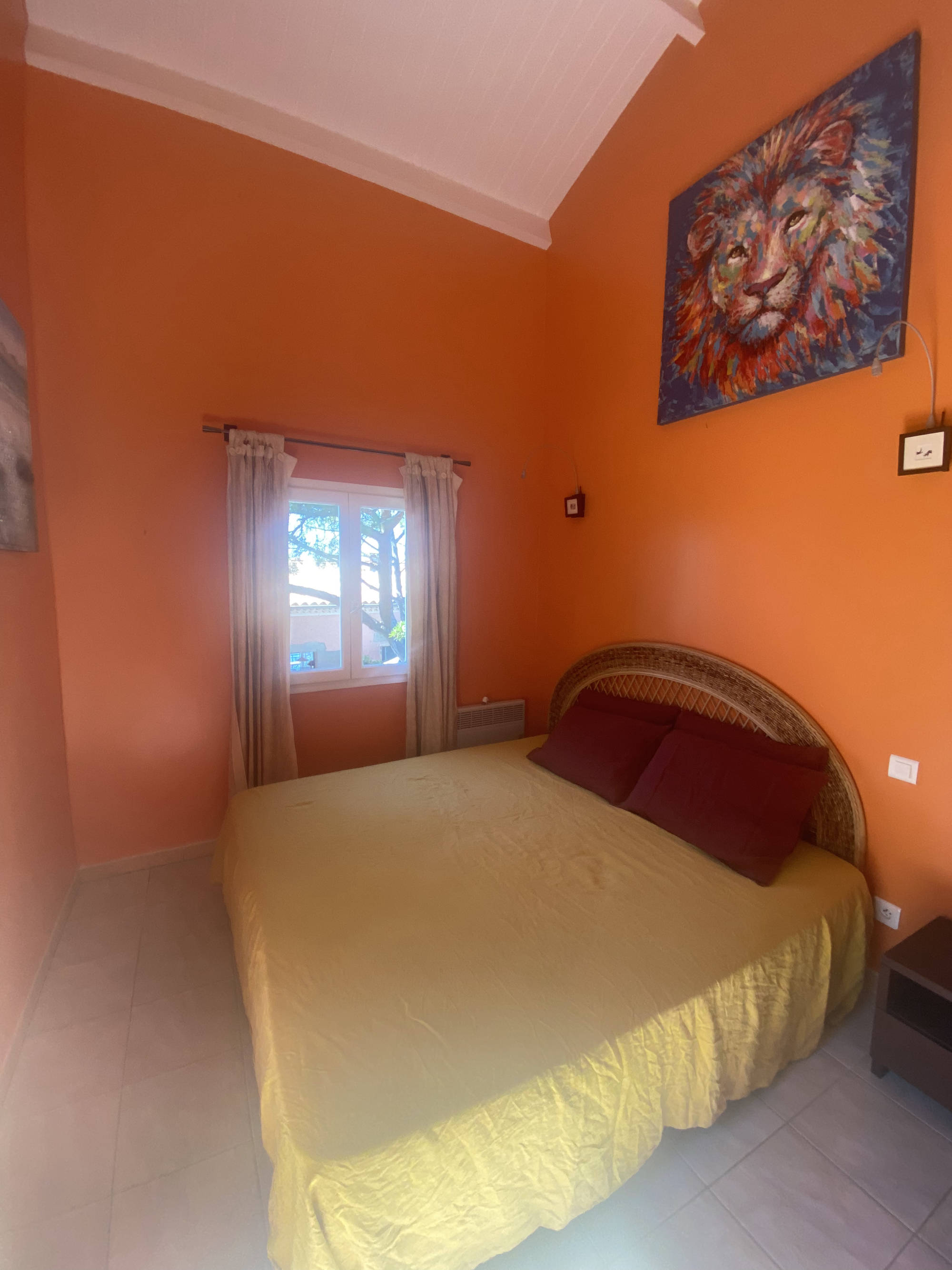 le rouquier du levant