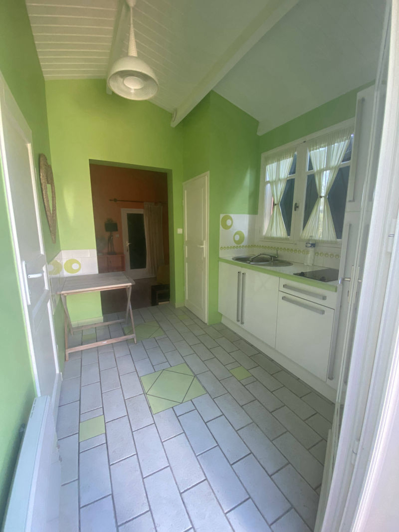 le rouquier du levant