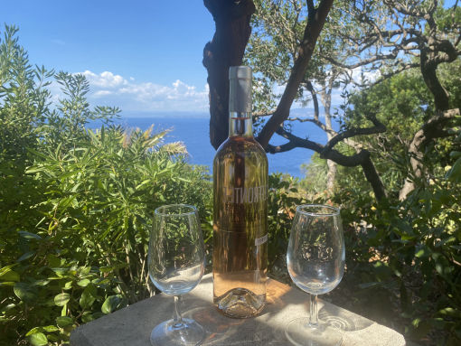 le rouquier du levant