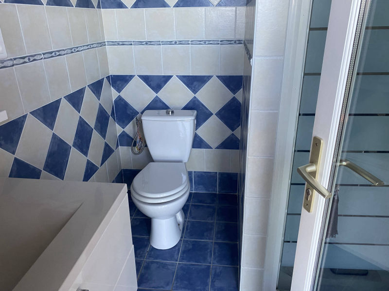 le rouquier du levant