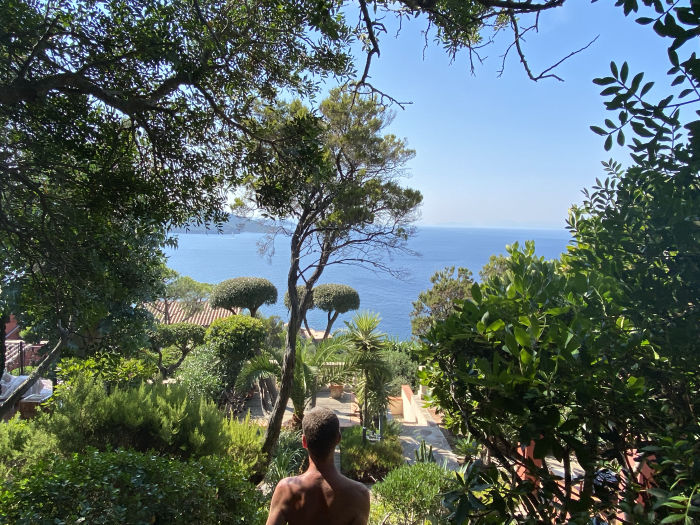 le rouquier du levant