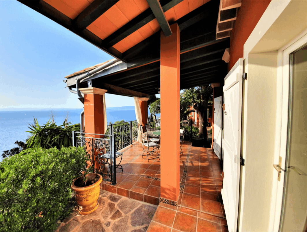 le rouquier du levant