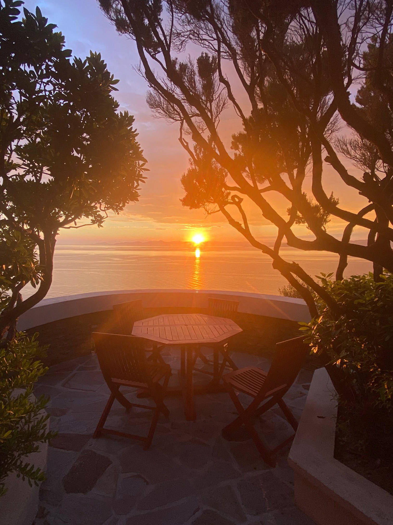 le rouquier du levant