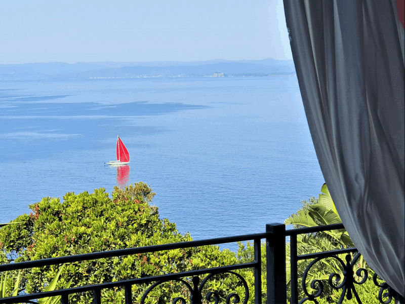 le rouquier du levant