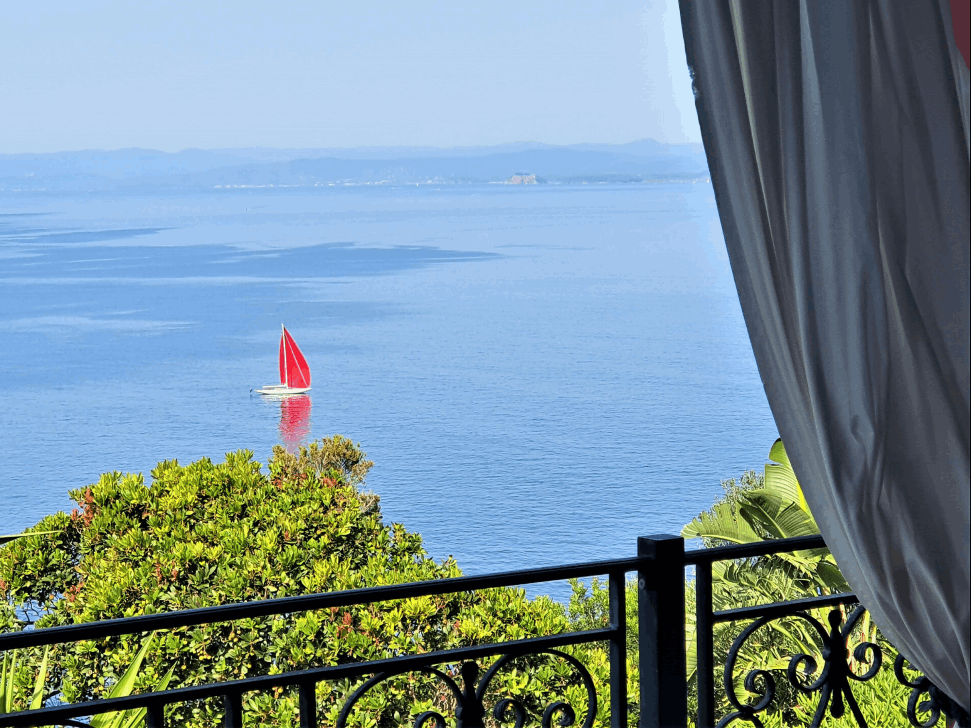 le rouquier du levant