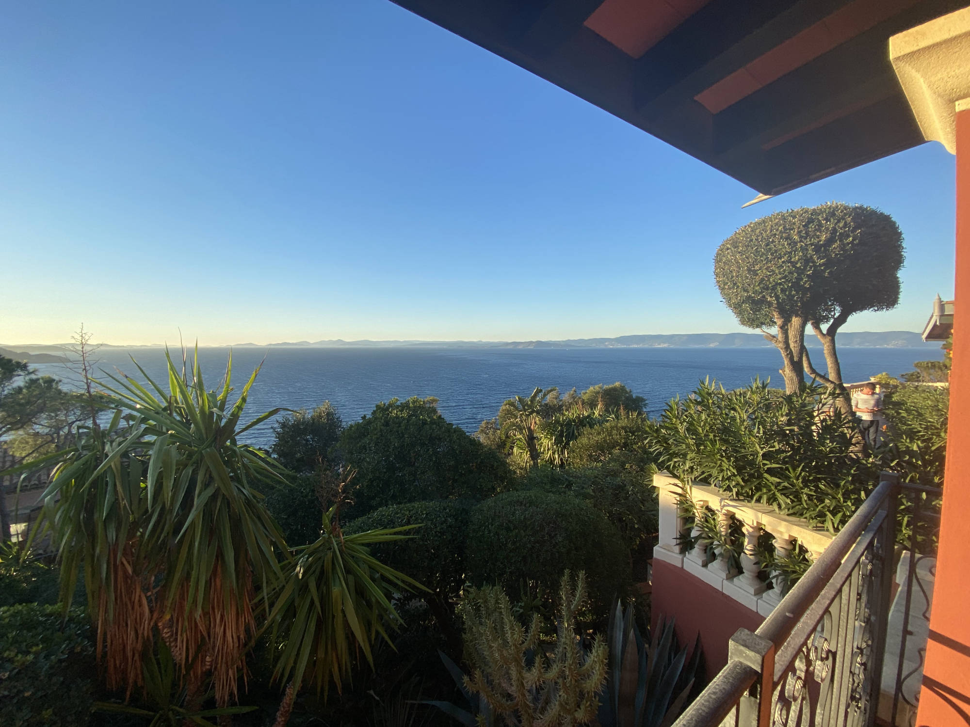 le rouquier du levant